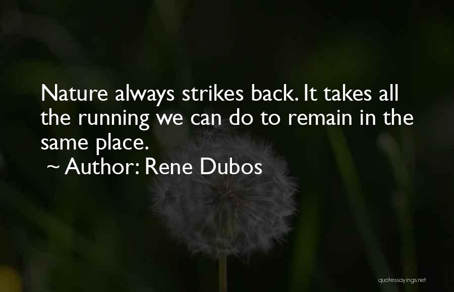 Always Remain The Same Quotes By Rene Dubos