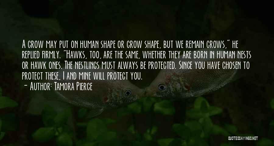 Always Remain The Same Quotes By Tamora Pierce