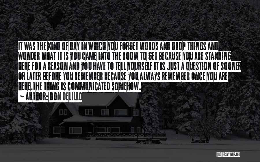 Always Remember Where You Came From Quotes By Don DeLillo