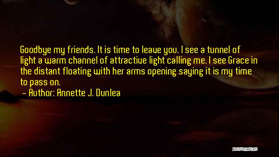 Always Saying Goodbye Quotes By Annette J. Dunlea