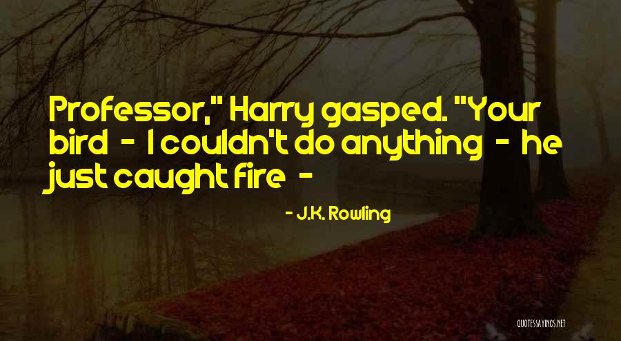 Always Sunny Premiere Quotes By J.K. Rowling Always Sunny Premiere Quotes By J.K. Rowling