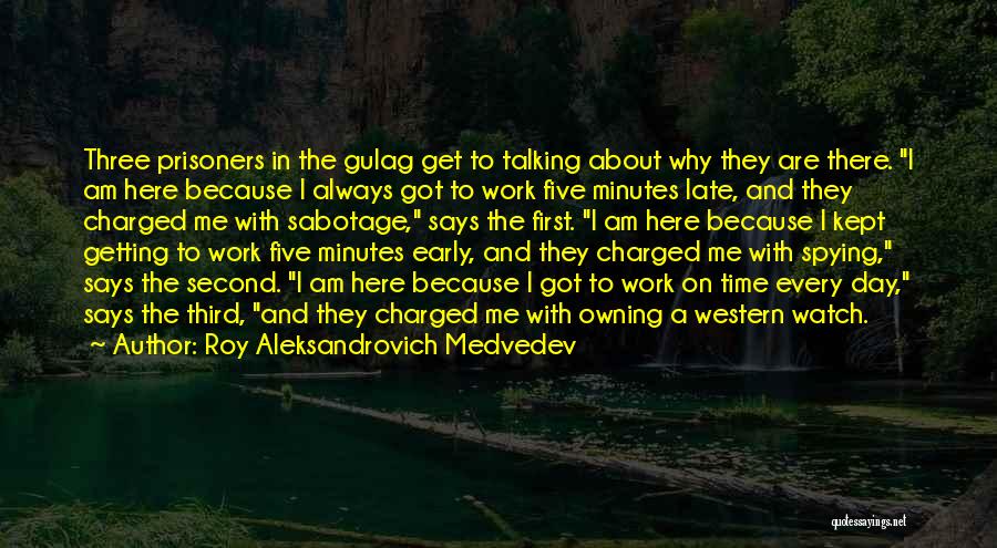 Always Talking About Me Quotes By Roy Aleksandrovich Medvedev