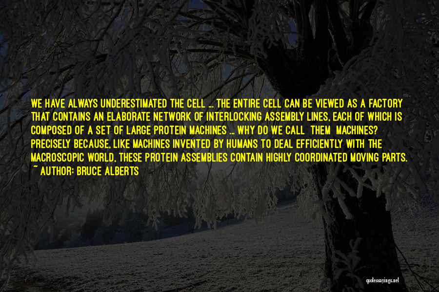 Always Underestimated Quotes By Bruce Alberts