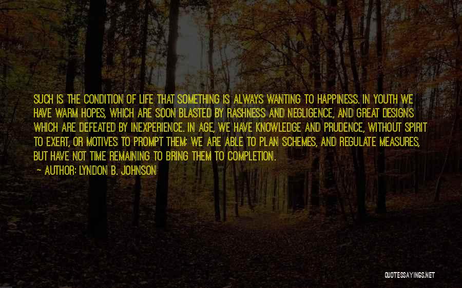 Always Wanting Something Quotes By Lyndon B. Johnson