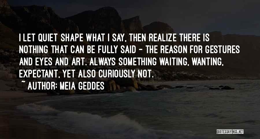 Always Wanting Something Quotes By Meia Geddes