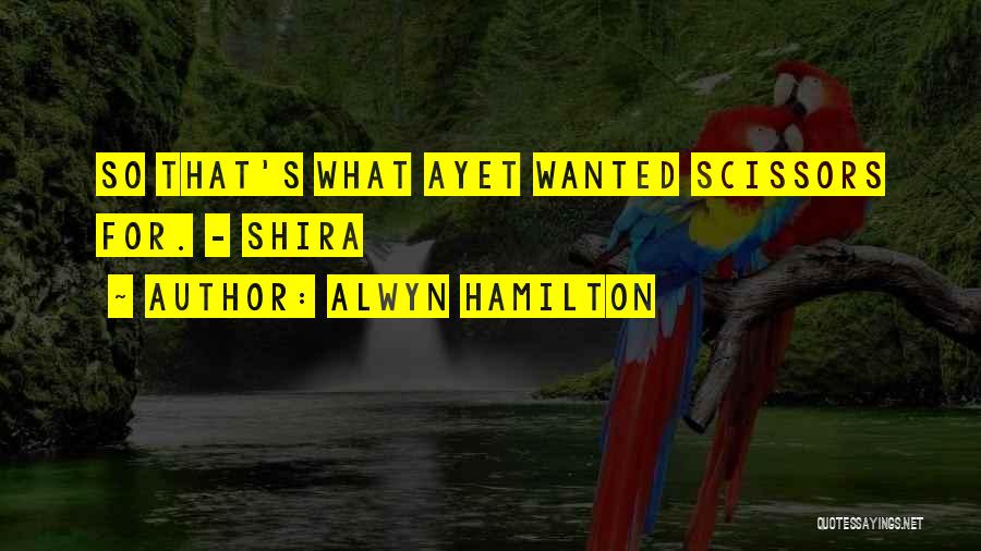 Alwyn Hamilton Quotes 1407867