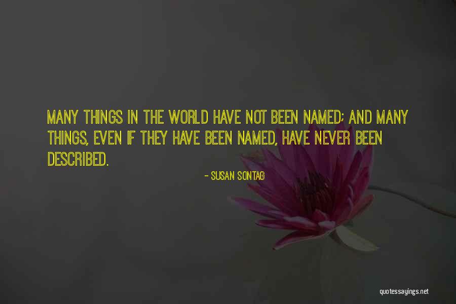 Alyce Laviolette Quotes By Susan Sontag Alyce Laviolette Quotes By Susan Sontag