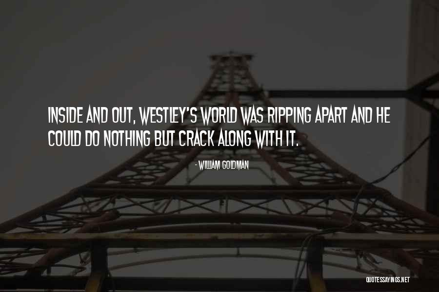 Alycesaundra Designer Quotes By William Goldman Alycesaundra Designer Quotes By William Goldman