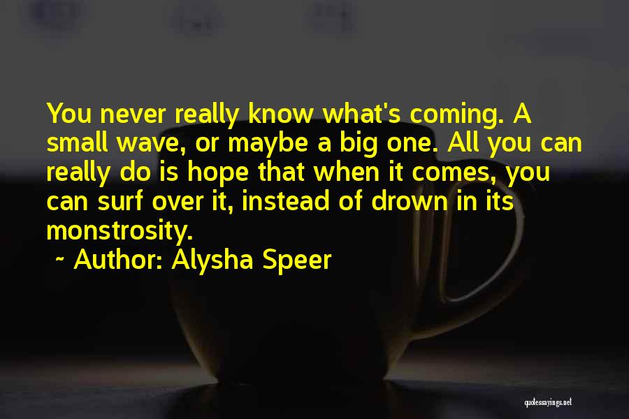 Alysha Speer Quotes 1345306