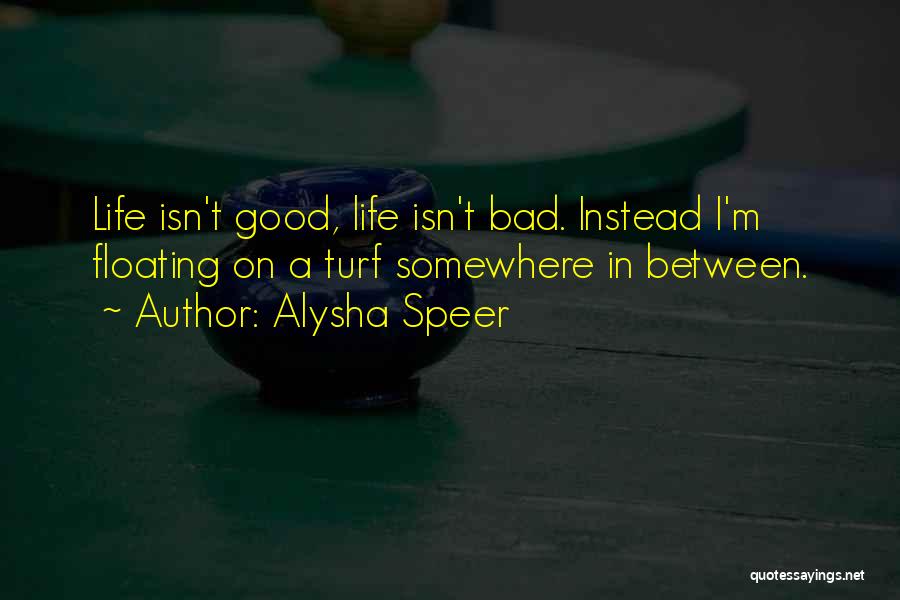 Alysha Speer Quotes 1442046