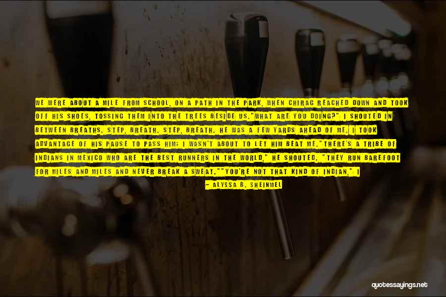 Alyssa B. Sheinmel Quotes 2161654 Alyssa B. Sheinmel Quotes 2161654