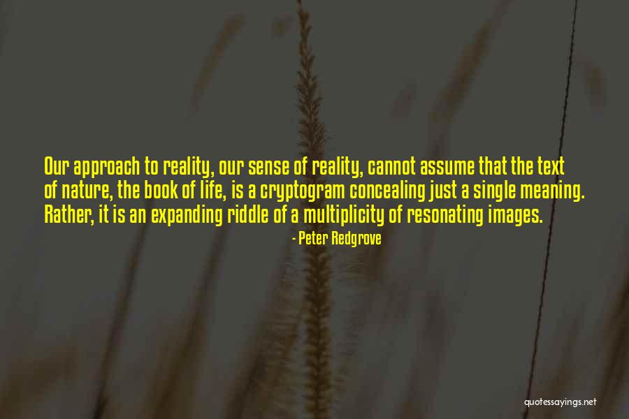 Alyssa Edwards Quotes By Peter Redgrove Alyssa Edwards Quotes By Peter Redgrove