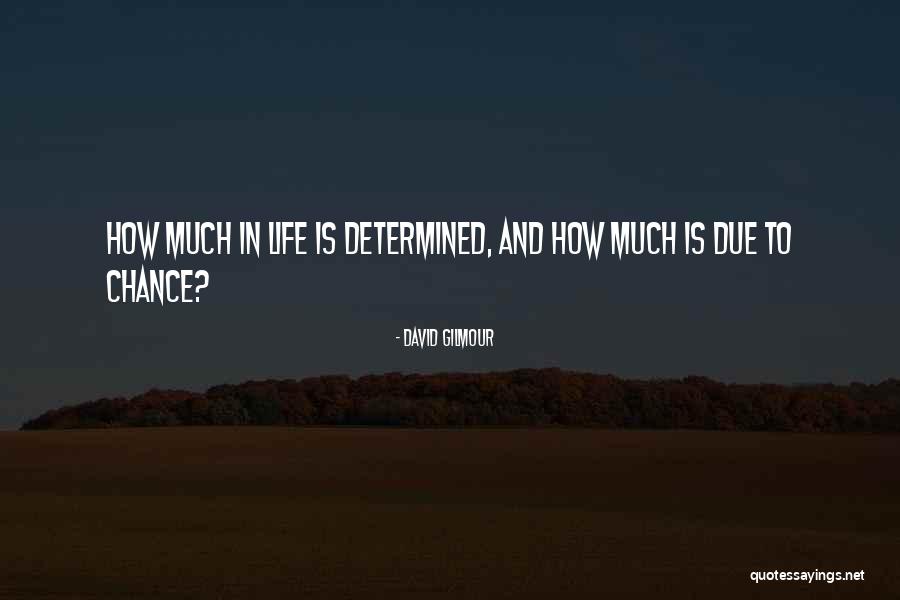 Alzatina Quotes By David Gilmour Alzatina Quotes By David Gilmour