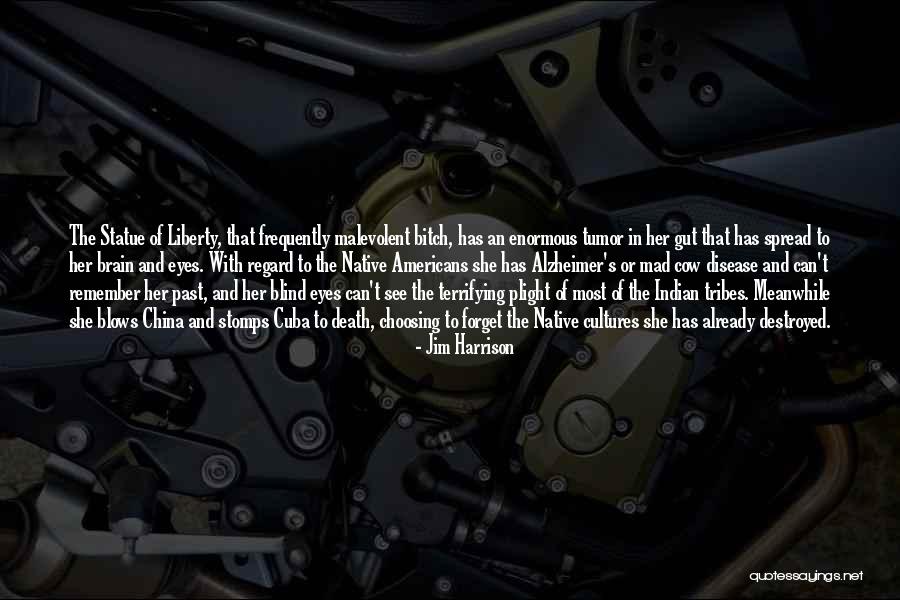 Alzheimer Disease Quotes By Jim Harrison Alzheimer Disease Quotes By Jim Harrison