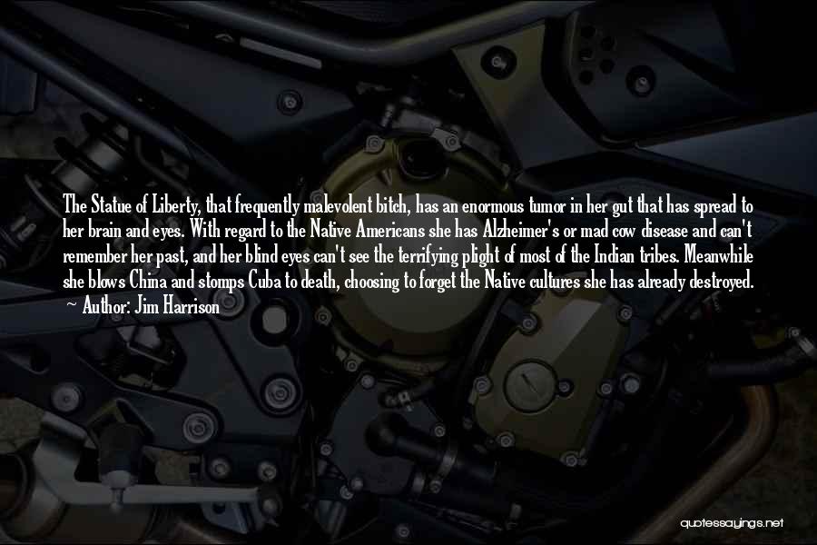 Alzheimer Quotes By Jim Harrison Alzheimer Quotes By Jim Harrison