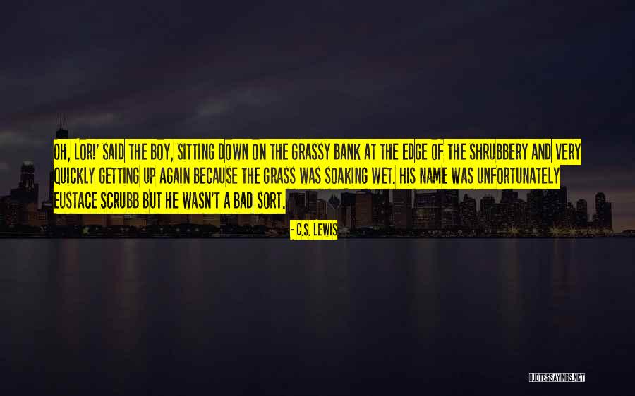 Am A Bad Boy Quotes By C.S. Lewis