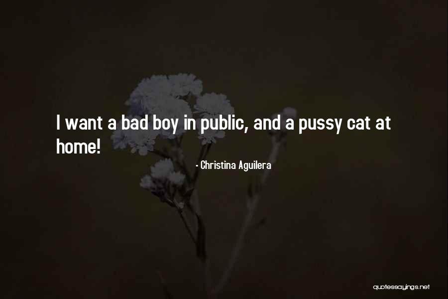 Am A Bad Boy Quotes By Christina Aguilera