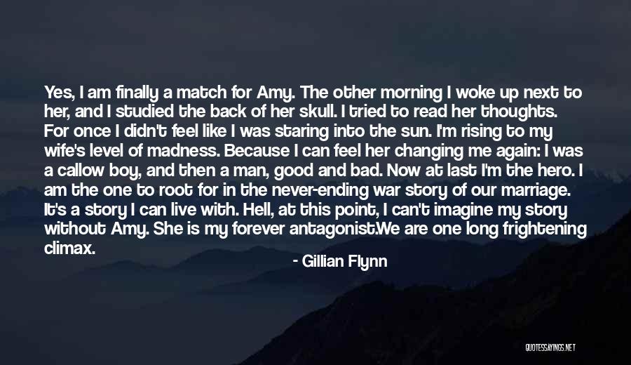 Am A Bad Boy Quotes By Gillian Flynn