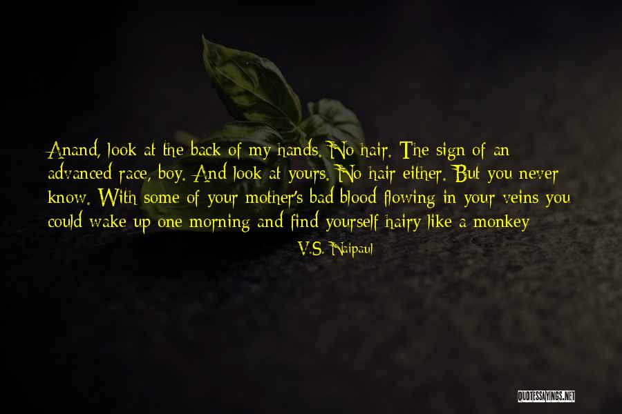 Am A Bad Boy Quotes By V.S. Naipaul