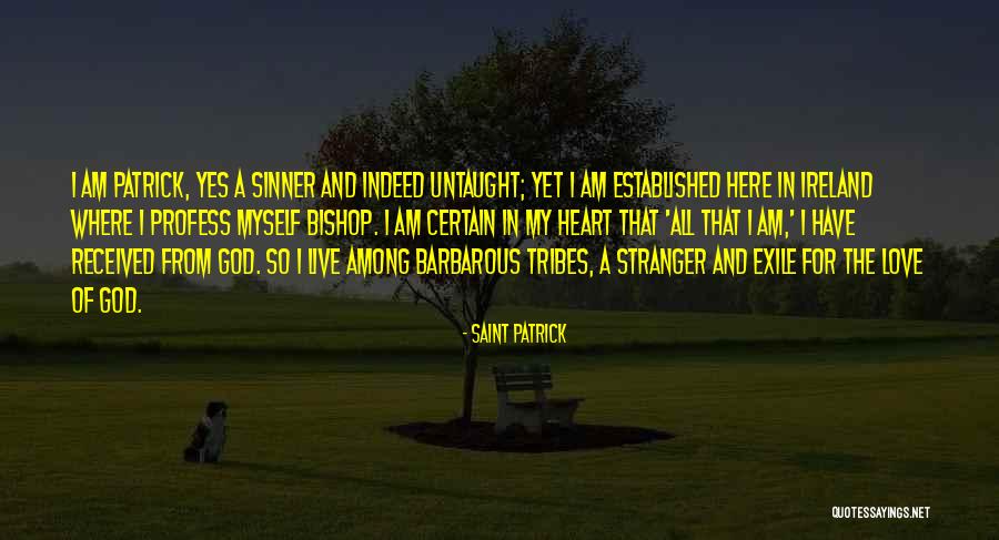 Am A Sinner Quotes By Saint Patrick Am A Sinner Quotes By Saint Patrick