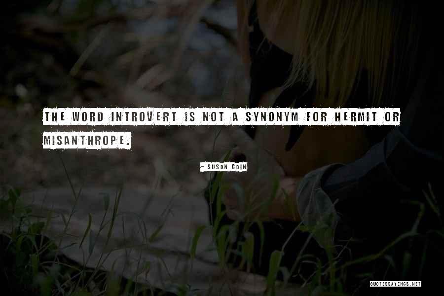 Am An Introvert Quotes By Susan Cain