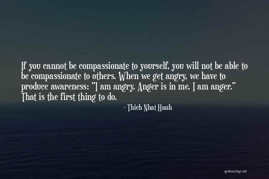 Am Angry Quotes By Thich Nhat Hanh Am Angry Quotes By Thich Nhat Hanh