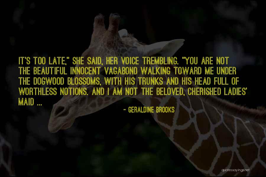 Am Beautiful Quotes By Geraldine Brooks Am Beautiful Quotes By Geraldine Brooks