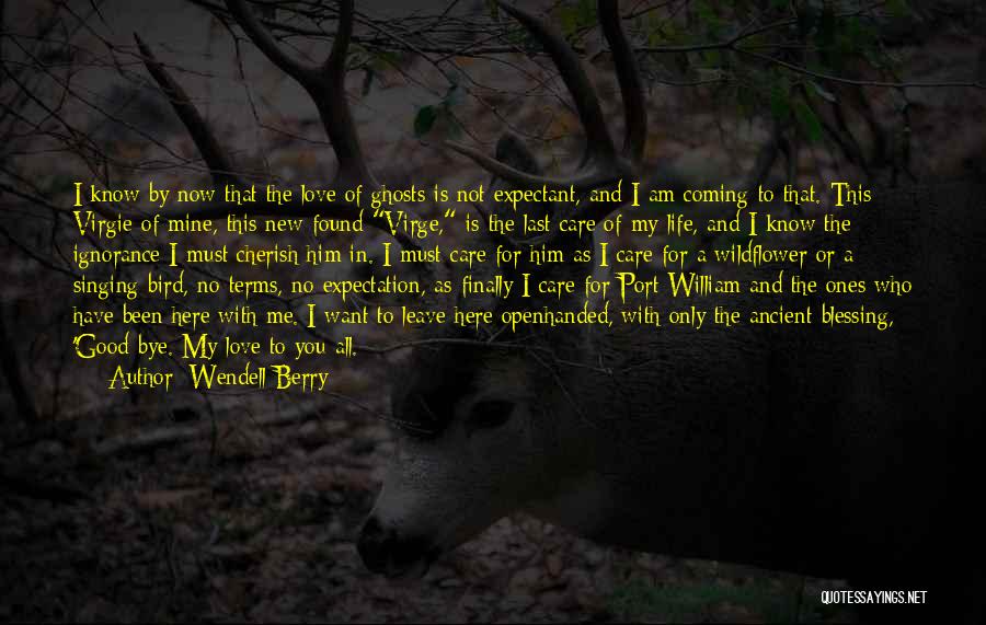 Am Coming For You Quotes By Wendell Berry
