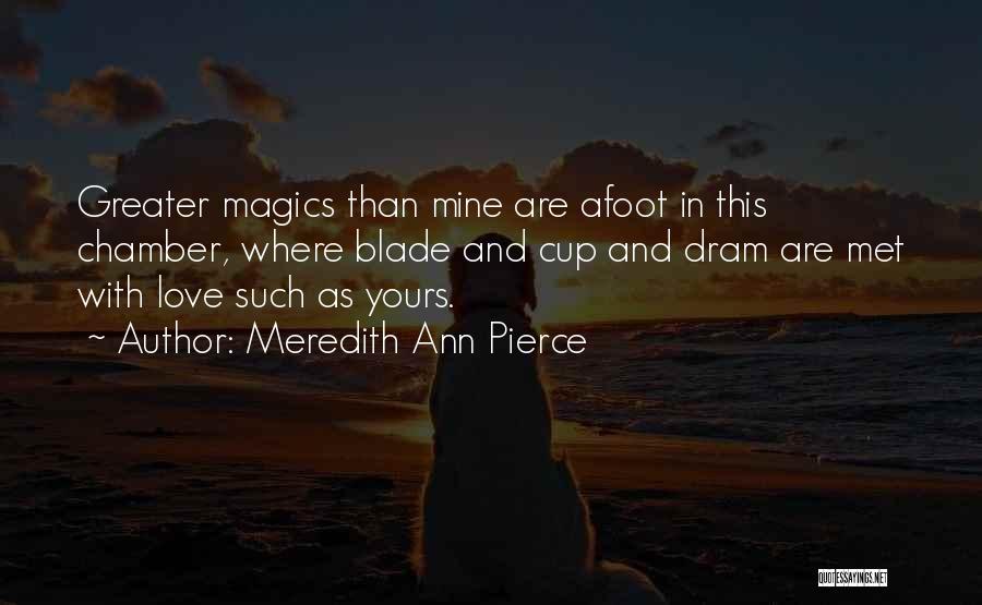 Am Dram Quotes By Meredith Ann Pierce