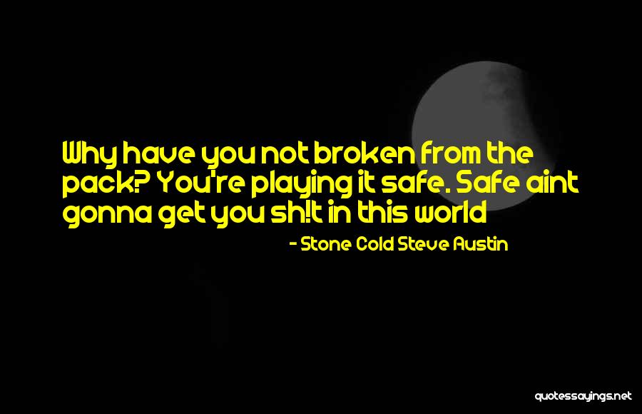 Am Giving Up On You Quotes By Stone Cold Steve Austin