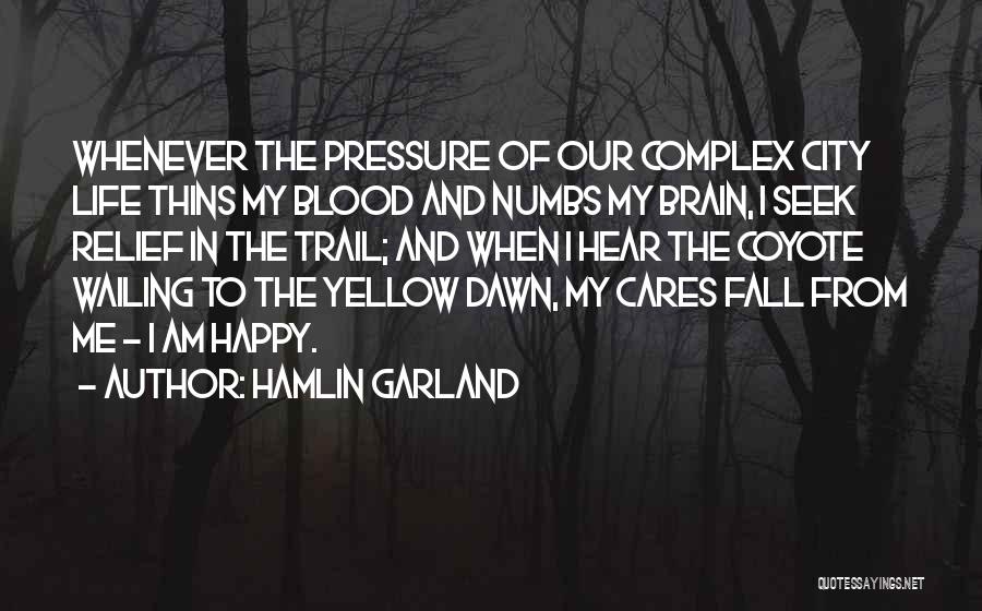 Am Happy Quotes By Hamlin Garland