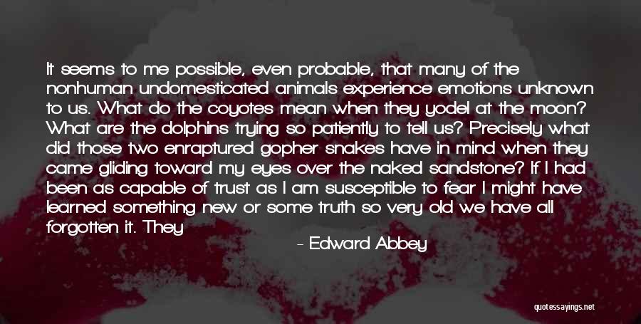 Am I Forgotten Quotes By Edward Abbey Am I Forgotten Quotes By Edward Abbey