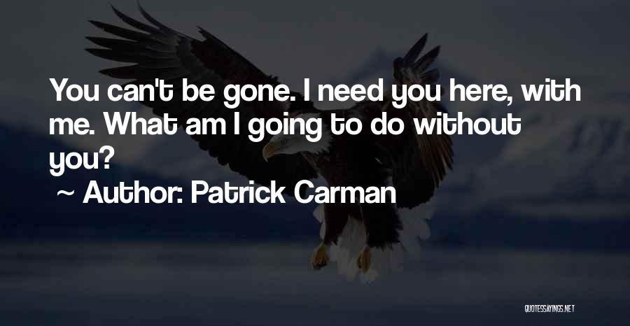 Am I Happy Quotes By Patrick Carman