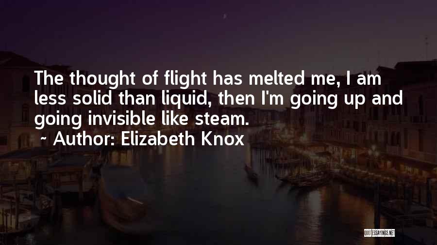 Am I Invisible Quotes By Elizabeth Knox