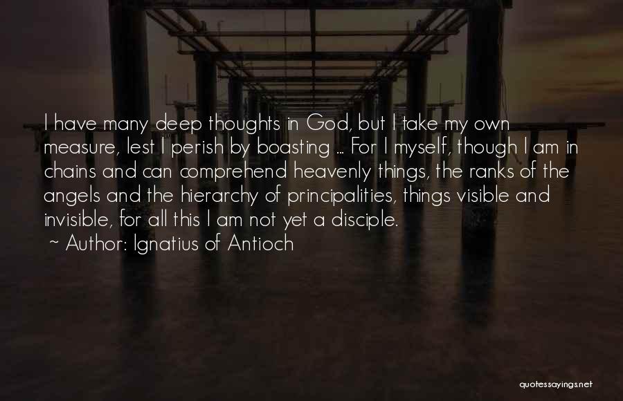 Am I Invisible Quotes By Ignatius Of Antioch