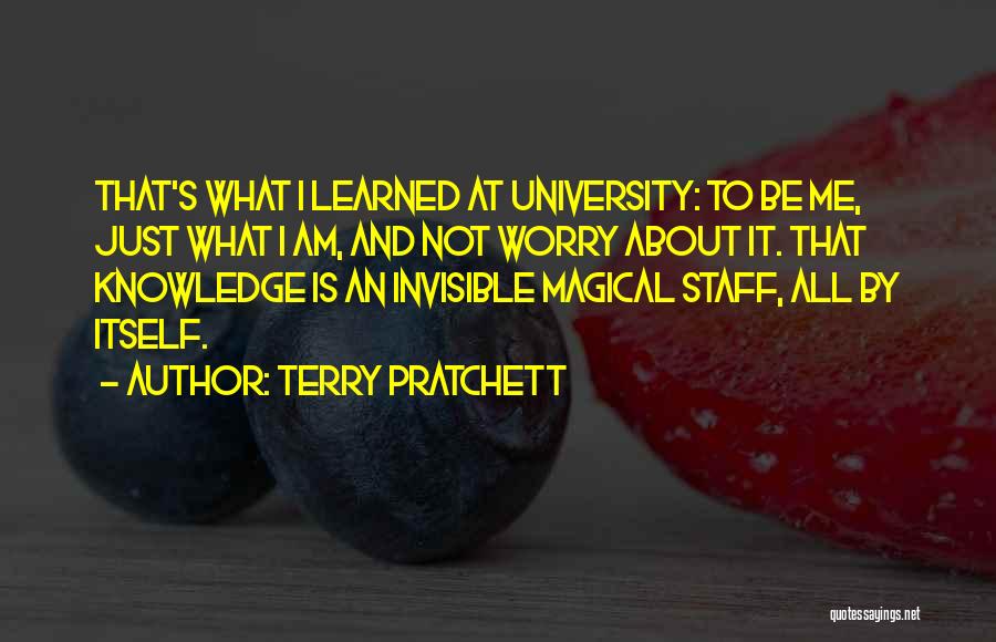 Am I Invisible Quotes By Terry Pratchett