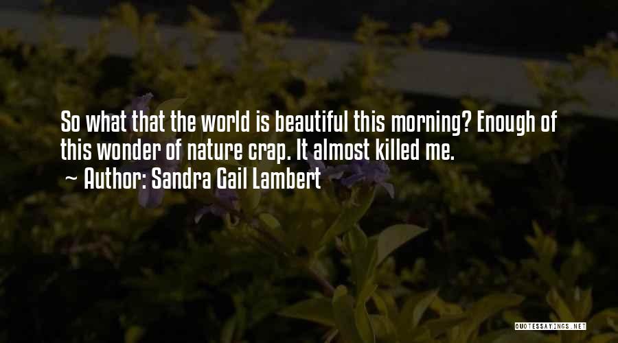 Am I Not Beautiful Enough For You Quotes By Sandra Gail Lambert