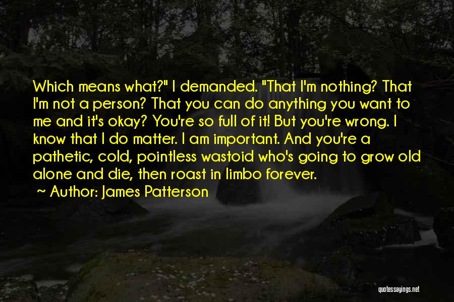 Am I Not Important To You Quotes By James Patterson