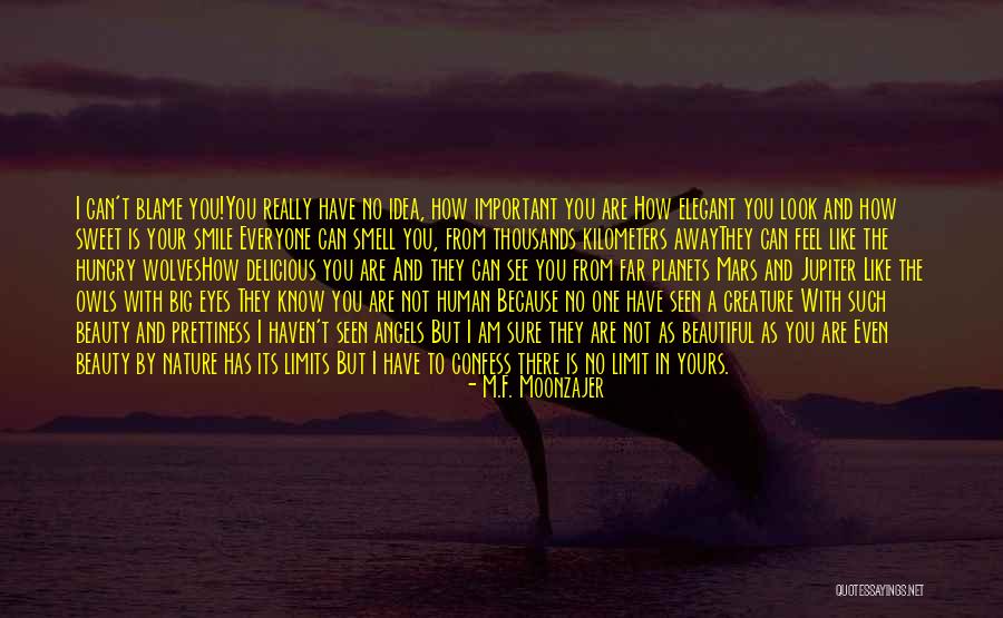 Am I Not Important To You Quotes By M.F. Moonzajer Am I Not Important To You Quotes By M.F. Moonzajer