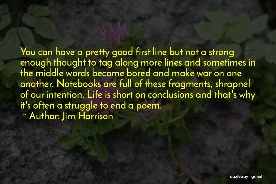 Am I Not Pretty Enough Quotes By Jim Harrison