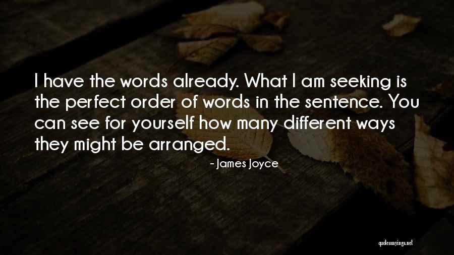 Am I Perfect For You Quotes By James Joyce