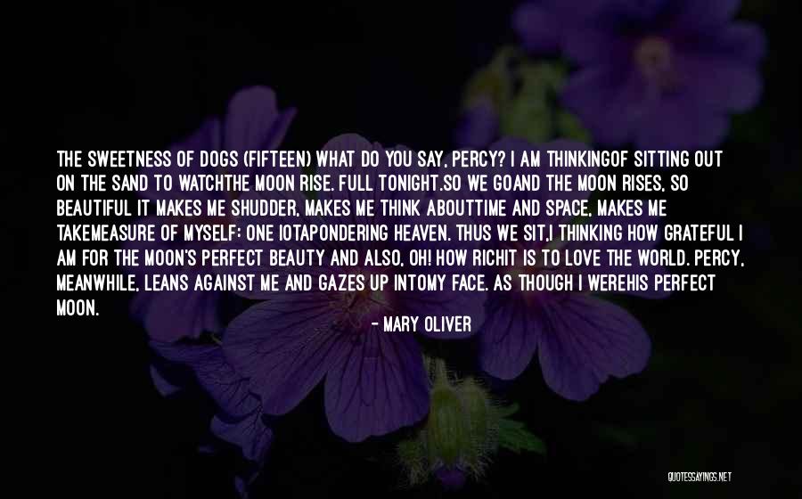 Am I Perfect For You Quotes By Mary Oliver