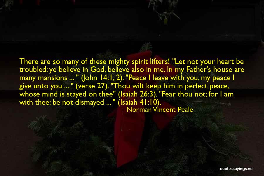 Am I Perfect For You Quotes By Norman Vincent Peale