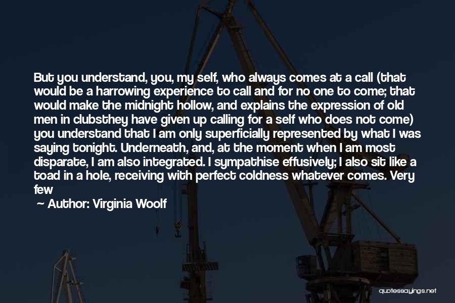 Am I Perfect For You Quotes By Virginia Woolf