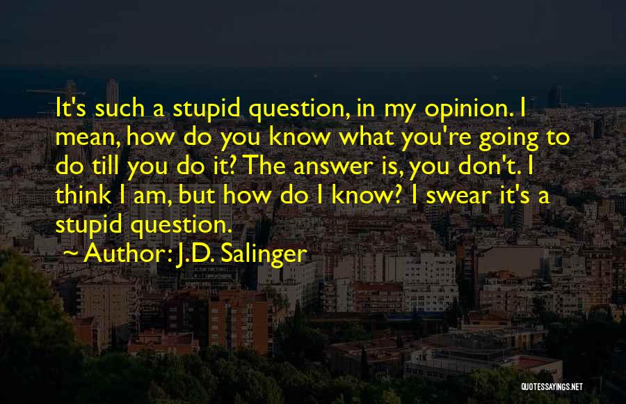 Am I Stupid Quotes By J.D. Salinger