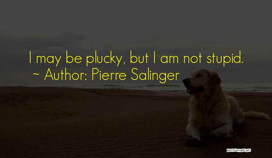 Am I Stupid Quotes By Pierre Salinger