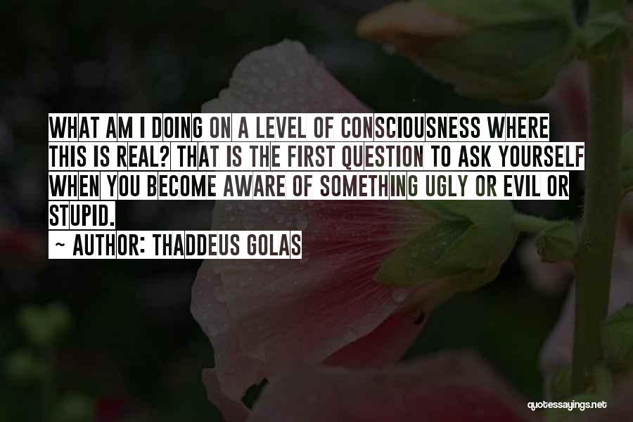Am I Stupid Quotes By Thaddeus Golas