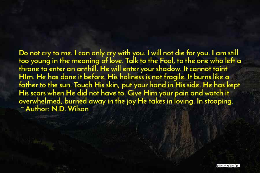 Am I The Only One You Love Quotes By N.D. Wilson