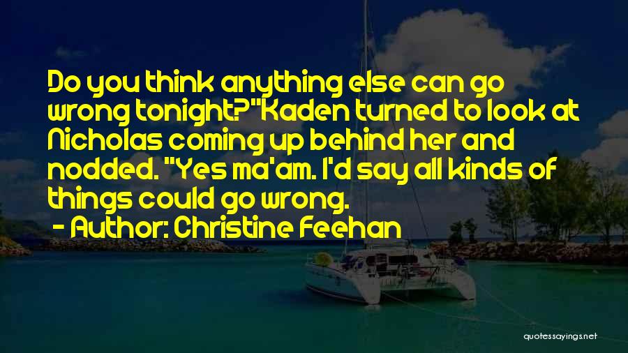 Am I Wrong Quotes By Christine Feehan