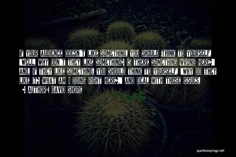 Am I Wrong Quotes By David Shore